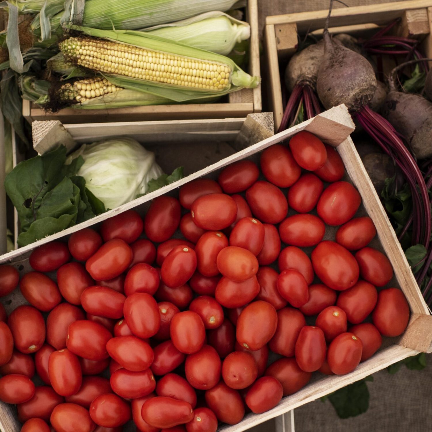 close-up-delicious-organic-tomatoes
